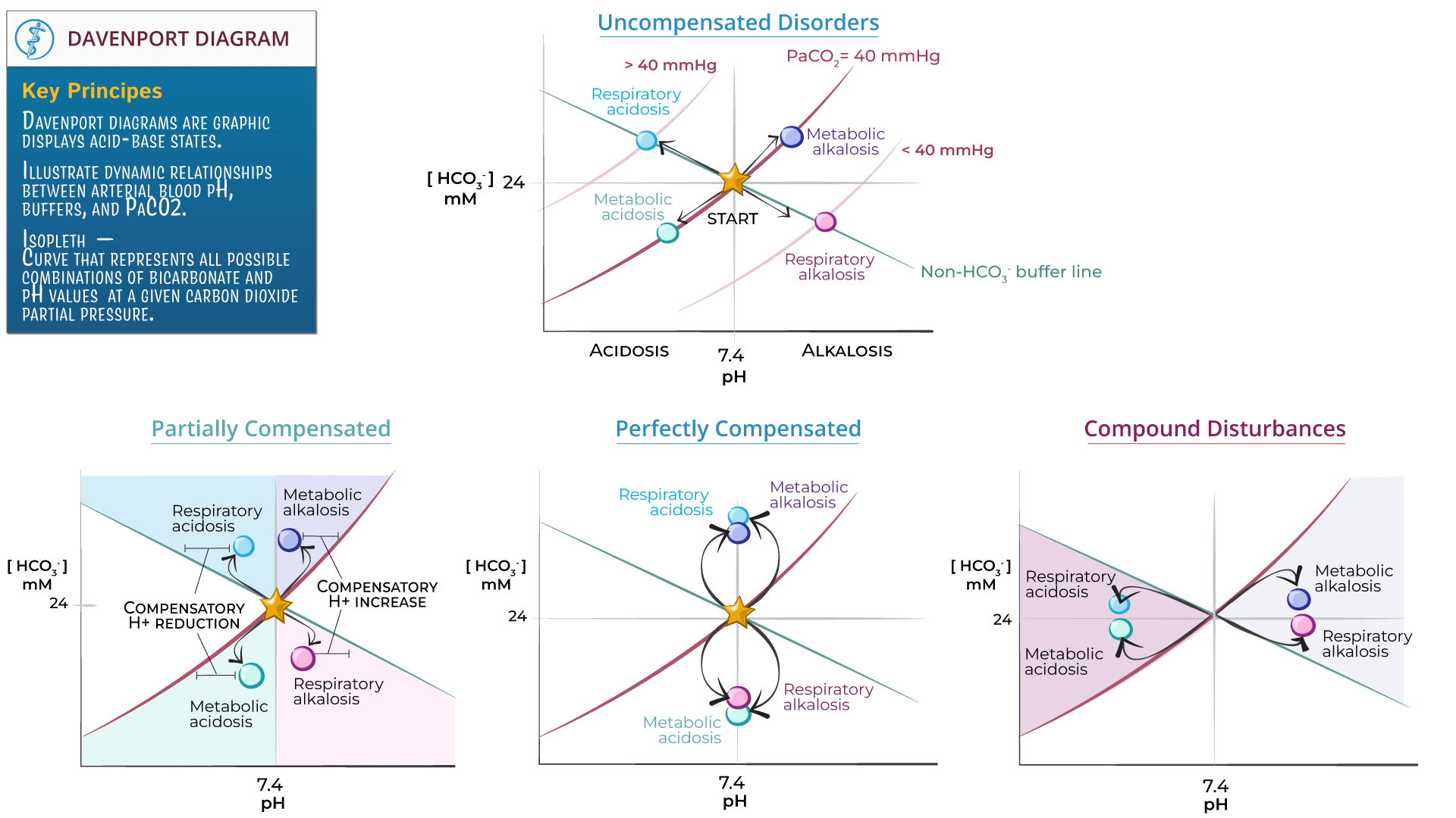 The Davenport diagram (plasma HCO3- vs. pH, at a given PaCO2 isopleth): uncompensated respiratory/metabolic acidosis and alkalosis plotted as displacement along or across the PaCO2=40mmHg isopleth from the normal point, with further panels showing partially compensated, perfectly compensated, and compound acid-base disturbances as compensatory movement toward or away from pH 7.4
