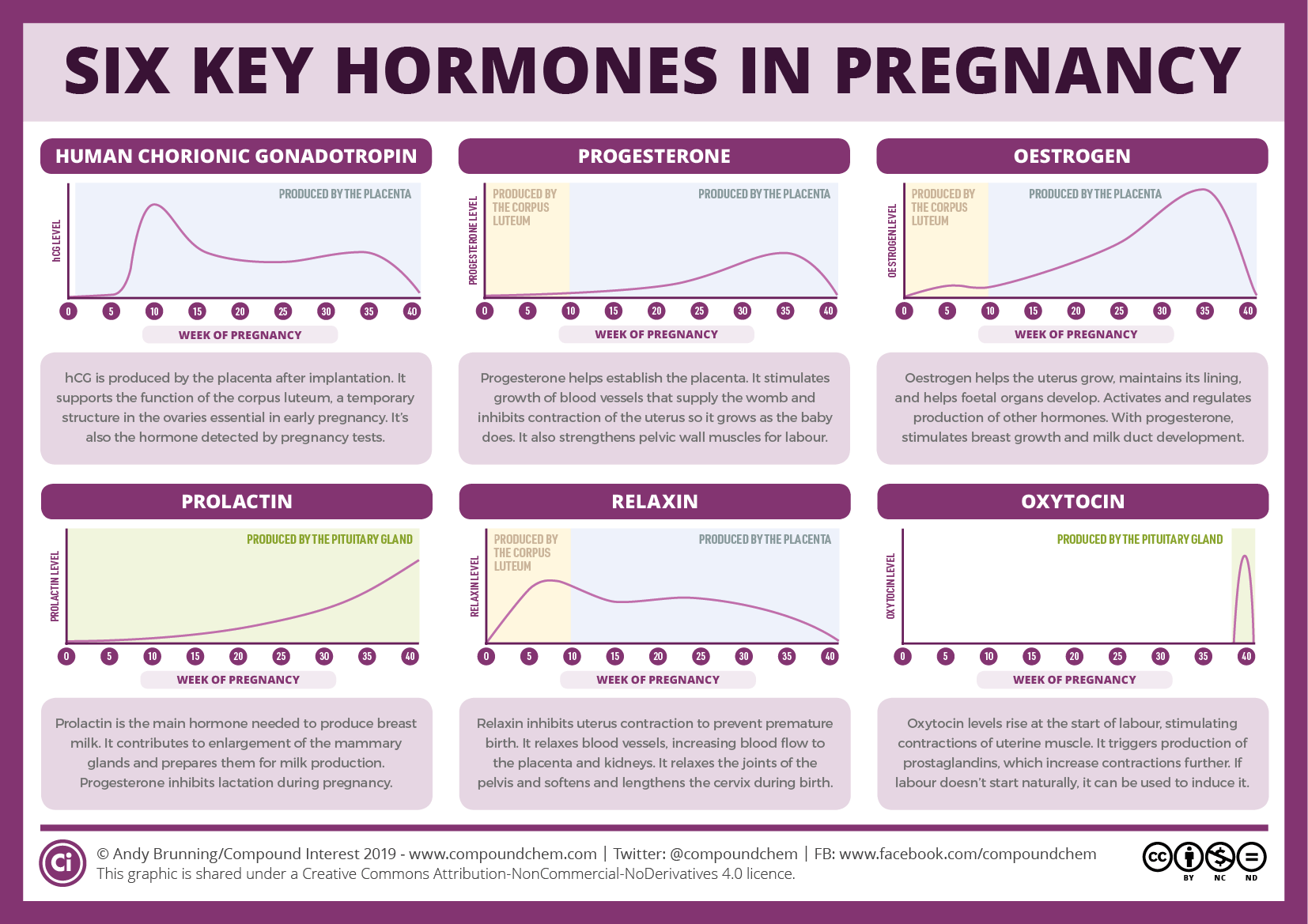 Six key pregnancy hormone level curves plotted against week of pregnancy, each panel shaded to show its source: hCG peaks around week 10 then declines, produced by the placenta; progesterone and estrogen both rise steadily from a corpus-luteum-derived early phase (shaded yellow, weeks 0-10) into a placenta-derived later phase (shaded blue, weeks 10-40); prolactin rises steadily from the pituitary; relaxin peaks early (corpus luteum) then plateaus (placenta); oxytocin stays flat until a sharp spike at week 40 (labor onset)