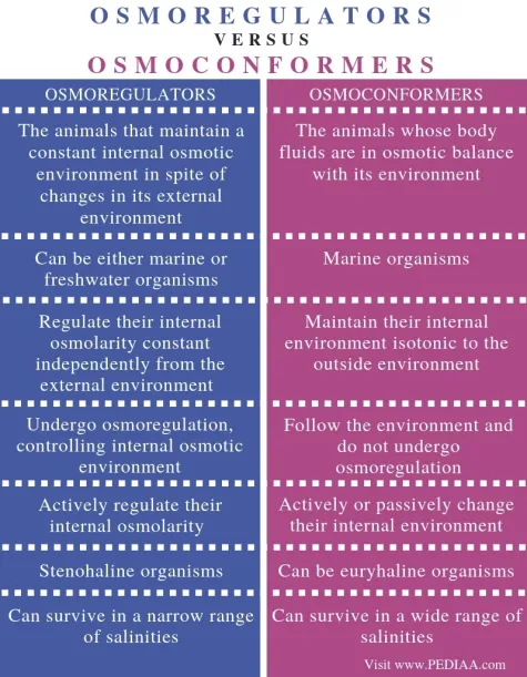 Comparison table of osmoregulators and osmoconformers by definition, habitat (marine/freshwater vs. marine only), internal-osmolarity strategy, and salinity tolerance range