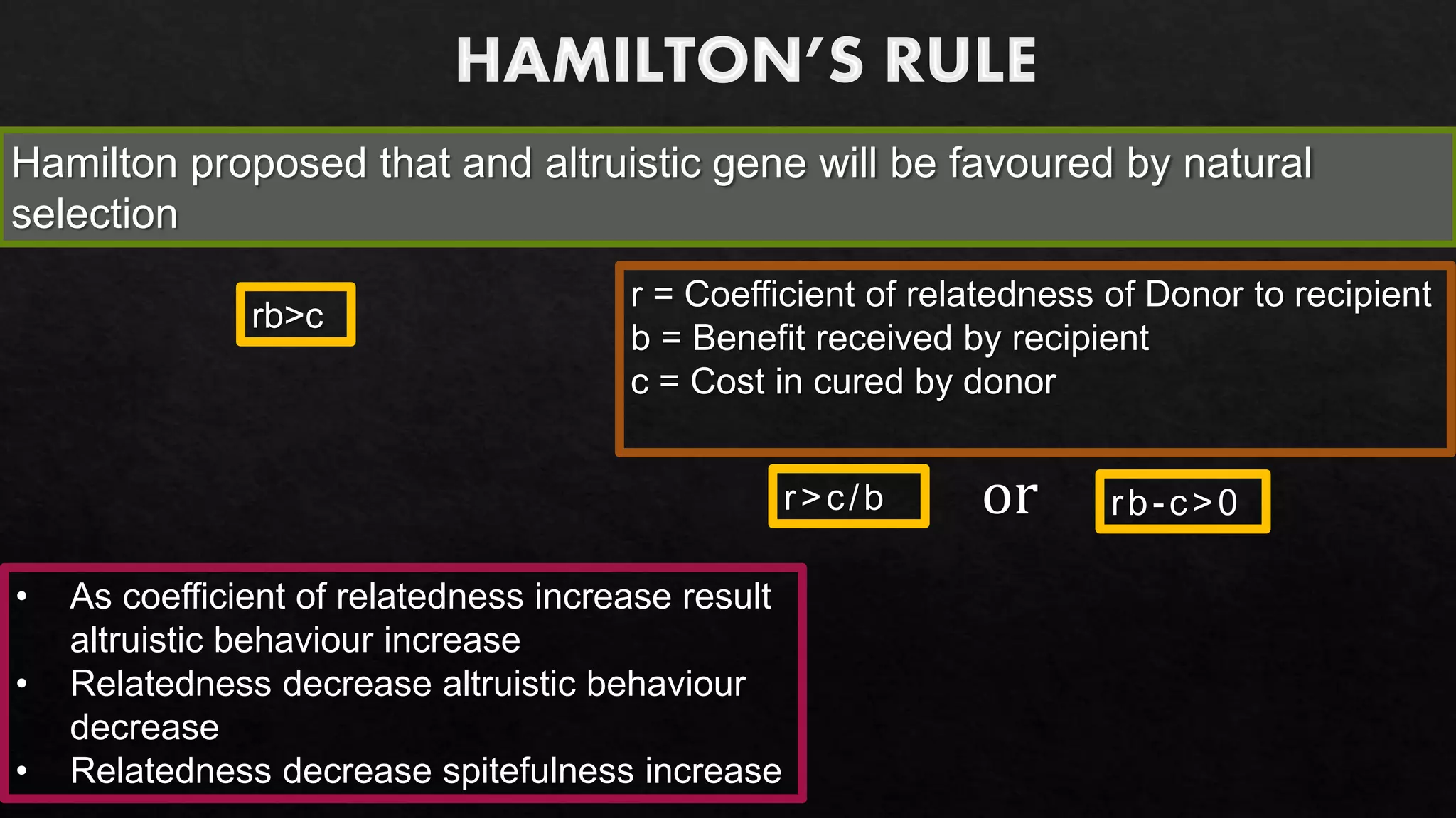 Slide stating Hamilton’s rule (rb > c), defining r as relatedness of donor to recipient, b as benefit to recipient, c as cost to donor, equivalent forms r > c/b and rb − c > 0, and noting that increased relatedness increases altruistic behavior while decreased relatedness increases “spitefulness.”