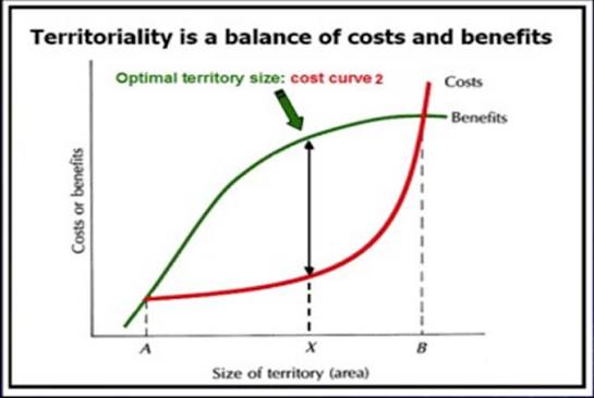Graph titled “Territoriality is a balance of costs and benefits”: cost and benefit curves plotted against territory size, with the optimal territory size marked where the vertical gap between the rising cost curve and saturating benefit curve is greatest.