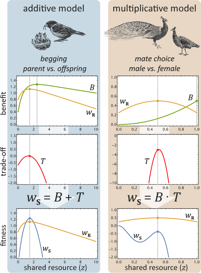 Comparative fitness-trade-off figure contrasting an “additive model” (parent-offspring begging conflict) against a “multiplicative model” of mate choice (illustrated with a peacock and peahen), each showing benefit, trade-off, and resulting fitness curves against a shared resource axis.