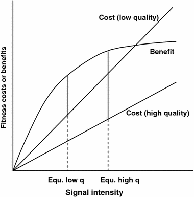 Graph of fitness costs and benefits vs. signal intensity, showing separate cost curves for low-quality and high-quality signalers against a shared benefit curve, with the resulting equilibrium signal intensity marked for each quality class.