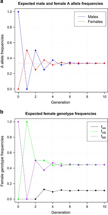 Simulated approach to Hardy-Weinberg equilibrium across generations starting from unequal male and female allele frequencies (males start fixed for one allele, females for the other): (a) male and female A-allele frequencies oscillate and converge toward a shared ~0.33 equilibrium value over about 6 generations; (b) female genotype frequencies (AA, AB, BB) similarly oscillate before settling to stable equilibrium values — illustrating the multi-generation convergence case noted above, not the single-generation case for a locus that already starts at equal frequencies in both sexes
