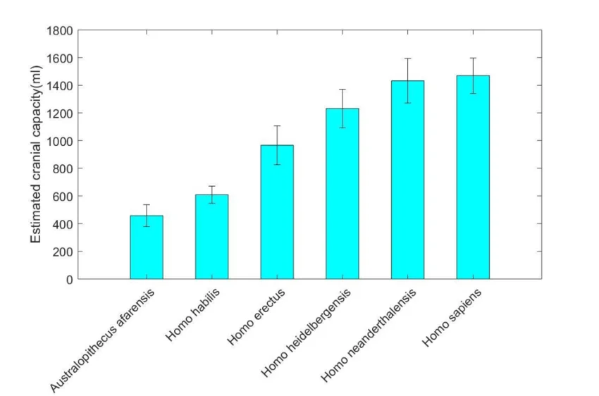 Bar chart of estimated cranial capacity (mL) with error bars across Australopithecus afarensis (~460), Homo habilis (~610), Homo erectus (~965), Homo heidelbergensis (~1230), Homo neanderthalensis (~1430), and Homo sapiens (~1470), in chronological order — including Homo heidelbergensis as a bonus taxon beyond the five discussed in the text
