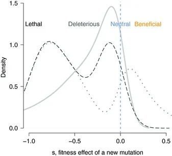 Distribution of the fitness effect (s) of new mutations across several hypothetical models: a lethal class at s = -1, a broad deleterious range, a neutral peak concentrated at s = 0 (dashed line), and a small beneficial tail at s > 0 — illustrating that neutral/nearly-neutral mutations occupy a real, substantial share of the overall distribution rather than being a negligible edge case