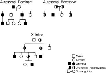 Three side-by-side worked pedigrees: Autosomal Dominant (affected individuals in every generation), Autosomal Recessive (trait skips a generation, appearing only in the children of two unaffected carriers), and X-linked (multiple affected males across generations), with a shared symbol legend.