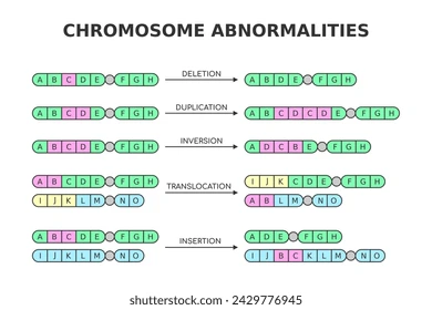 The five structural chromosome changes compared against a normal reference sequence (A-H): deletion (a segment lost), duplication (a segment repeated), inversion (a segment reversed in place), translocation (a segment moved to a different chromosome), and insertion (a segment gained from elsewhere).