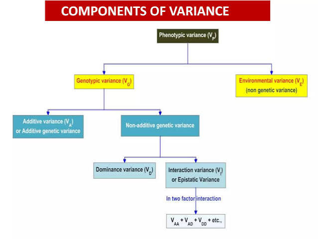 Components of variance flowchart: phenotypic variance (V_P) splits into genotypic variance (V_G) and environmental variance (V_E); V_G further splits into additive variance (V_A) and non-additive genetic variance, which itself splits into dominance variance (V_D) and interaction/epistatic variance.