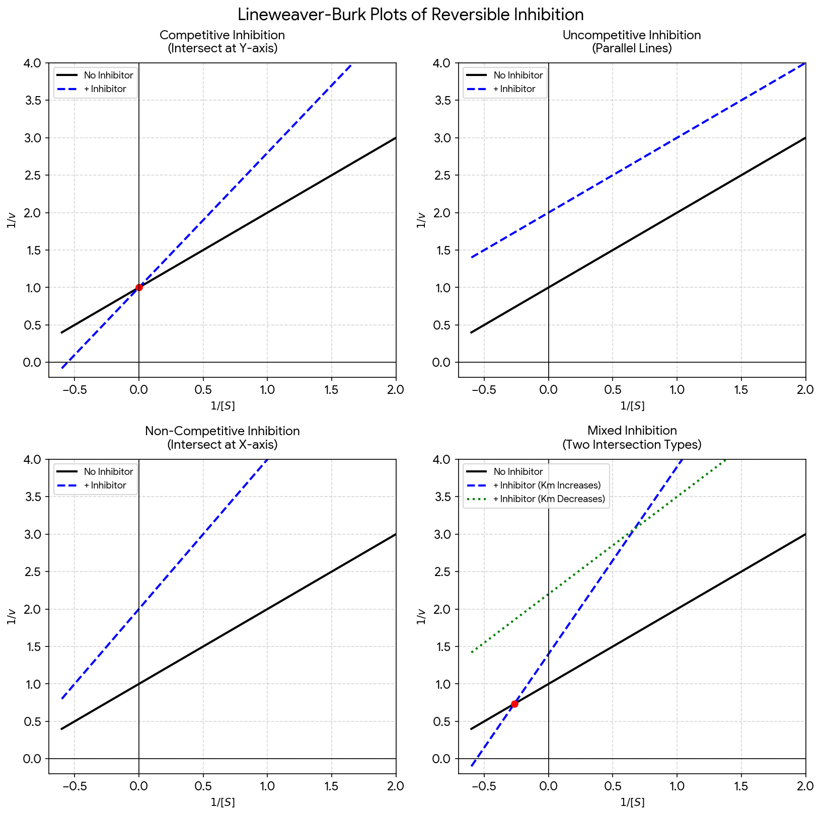 Lineweaver-Burk plots of all four reversible inhibition types: competitive lines intersect on the y-axis, uncompetitive lines are parallel, non-competitive lines intersect on the x-axis, and mixed lines intersect off both axes