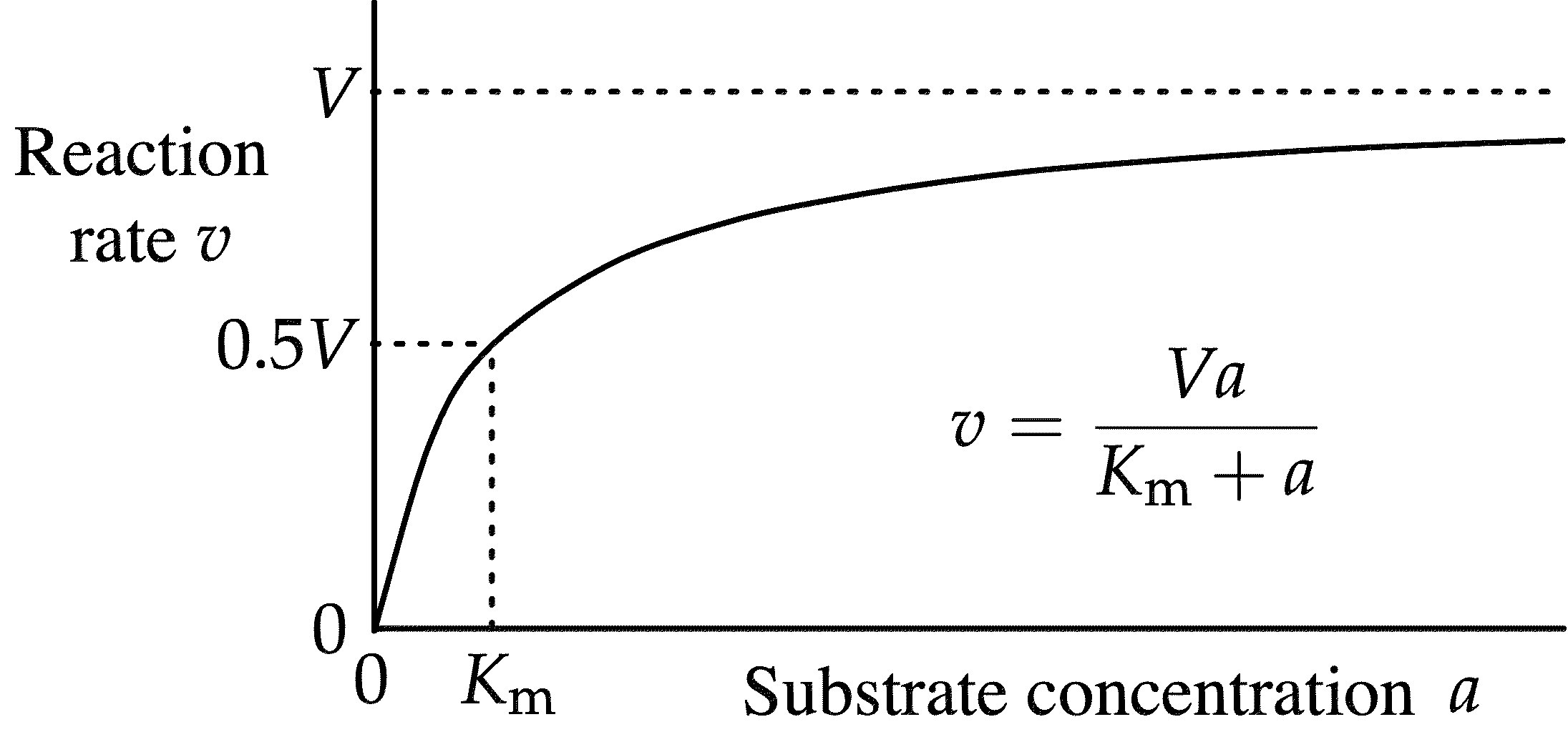 Michaelis-Menten plot: reaction rate v against substrate concentration a, hyperbolic curve labelled with V, 0.5V, and Km