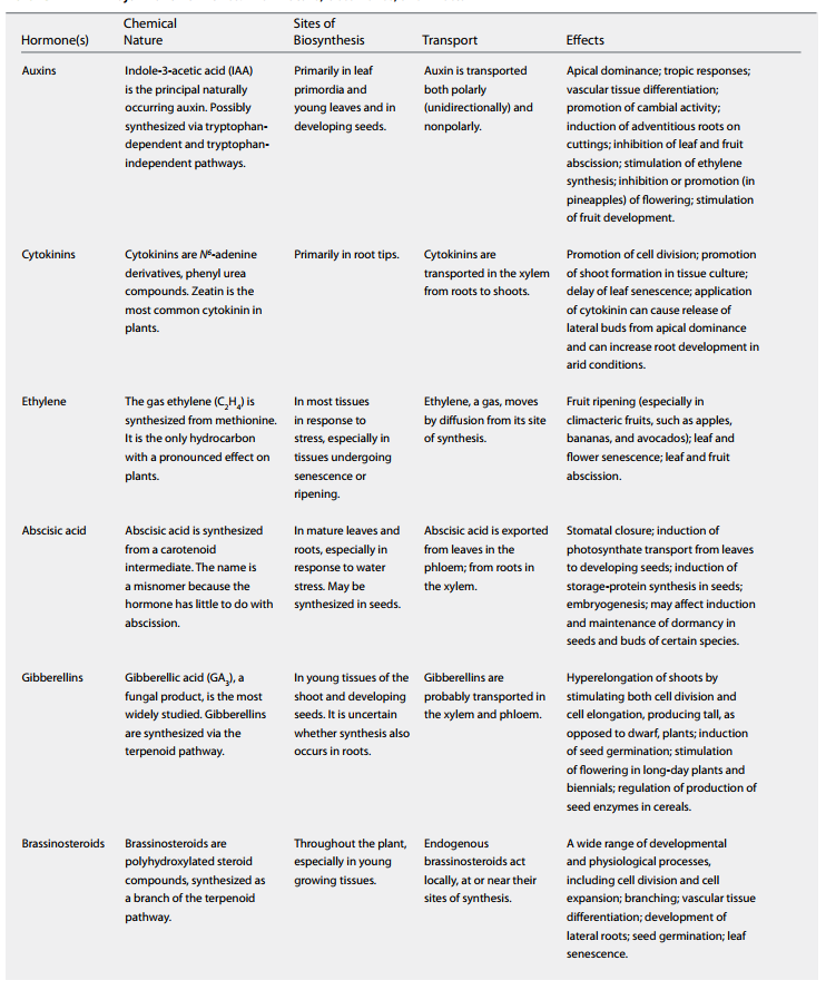 Six-hormone summary table: chemical nature, primary sites of biosynthesis, transport mode, and effects for auxins, cytokinins, ethylene, abscisic acid, gibberellins, and brassinosteroids, side by side