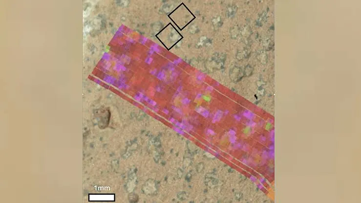 A rectangular PIXL elemental map in pink, red, purple and green pixels laid over a close-up of the speckled rock, with a 1 millimetre scale bar