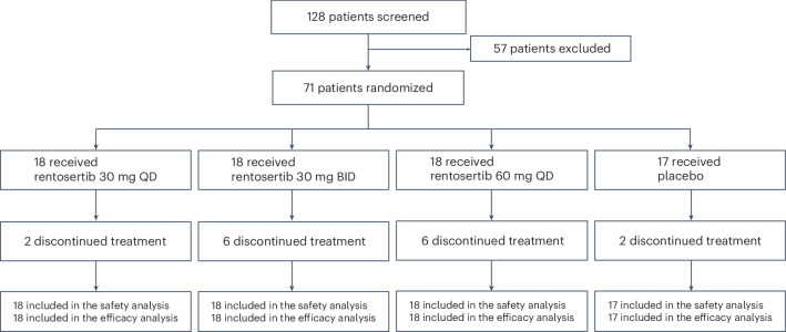 Flow chart: 128 patients screened, 57 excluded, 71 randomised into four boxes (rentosertib 30 mg once daily 18, 30 mg twice daily 18, 60 mg once daily 18, placebo 17), each followed by the number who discontinued and the numbers in the safety and efficacy analyses.