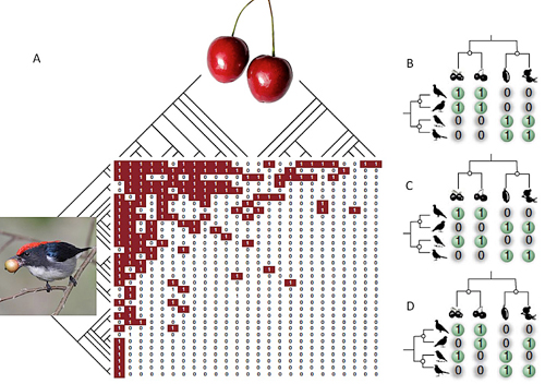 Figure 1.
