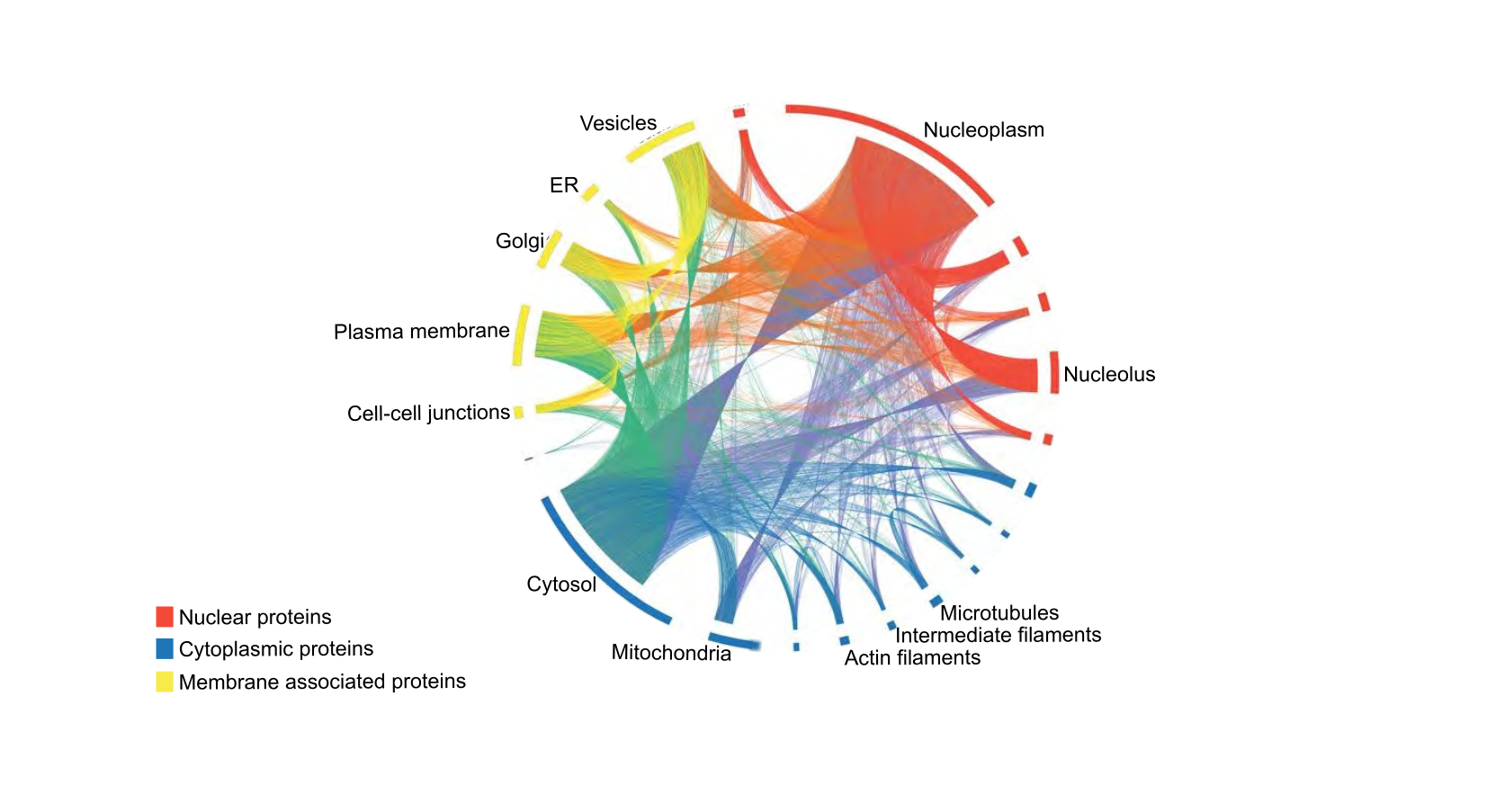 Figure for Q22: Mapping >12,000 Human Proteins Across Cell Organelles
