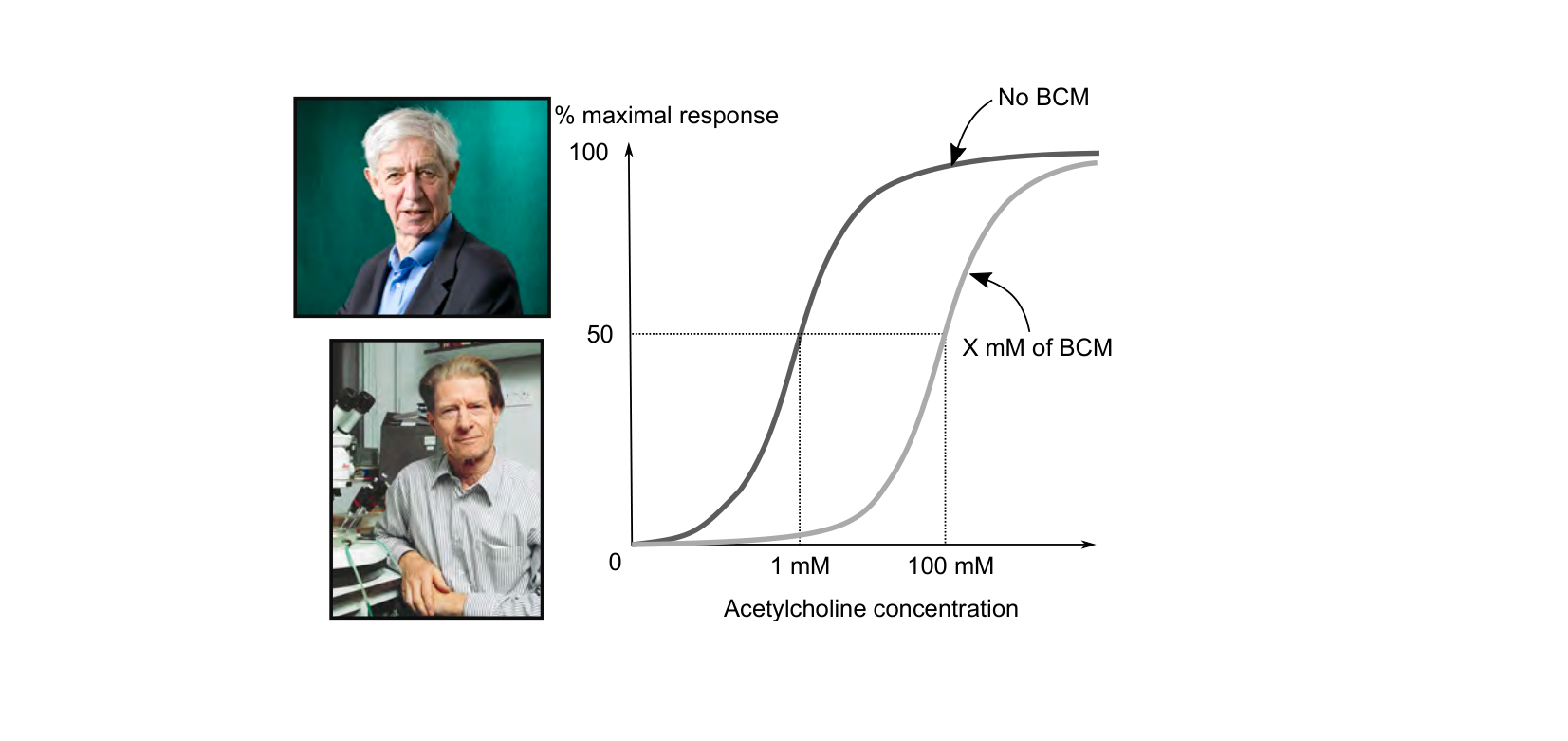 Figure for Q26: Receptor Occupancy and a Non-Competitive Inhibitor of Acetylcholine Signalling