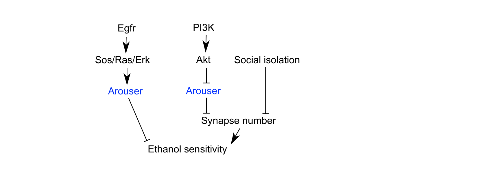 Figure for Q27: Arouser Links Egfr Signalling to Alcohol Sensitivity and Social Isolation