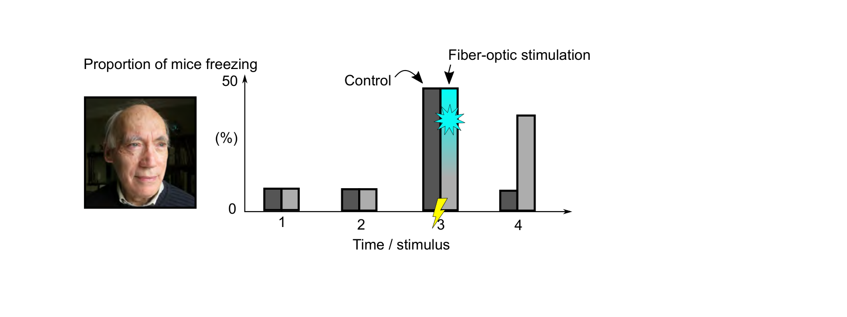 Figure for Q28: Optogenetically Implanting a False Fear Memory in Mice