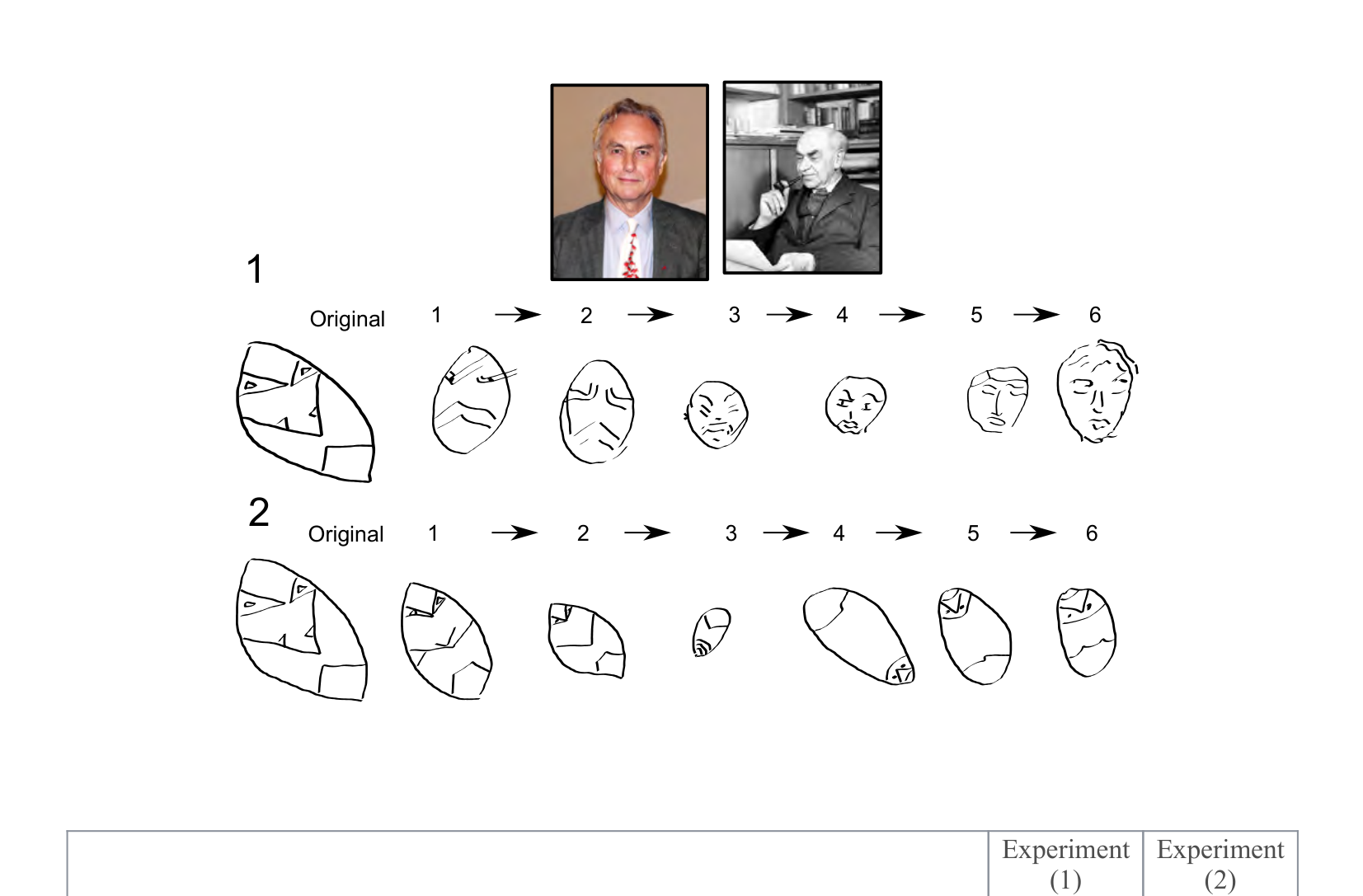 Figure for Q31: Serial Reproduction and the Drift of Remembered Images