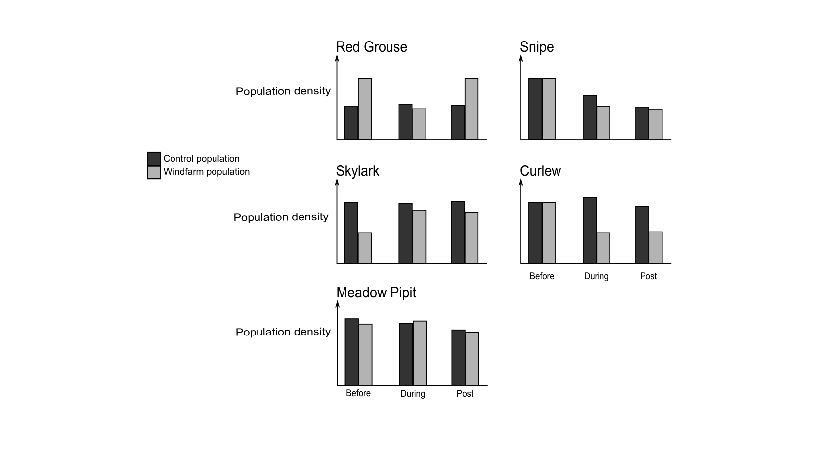 Figure for Q37: Windfarm Construction Disrupts Bird Populations More Than Operation