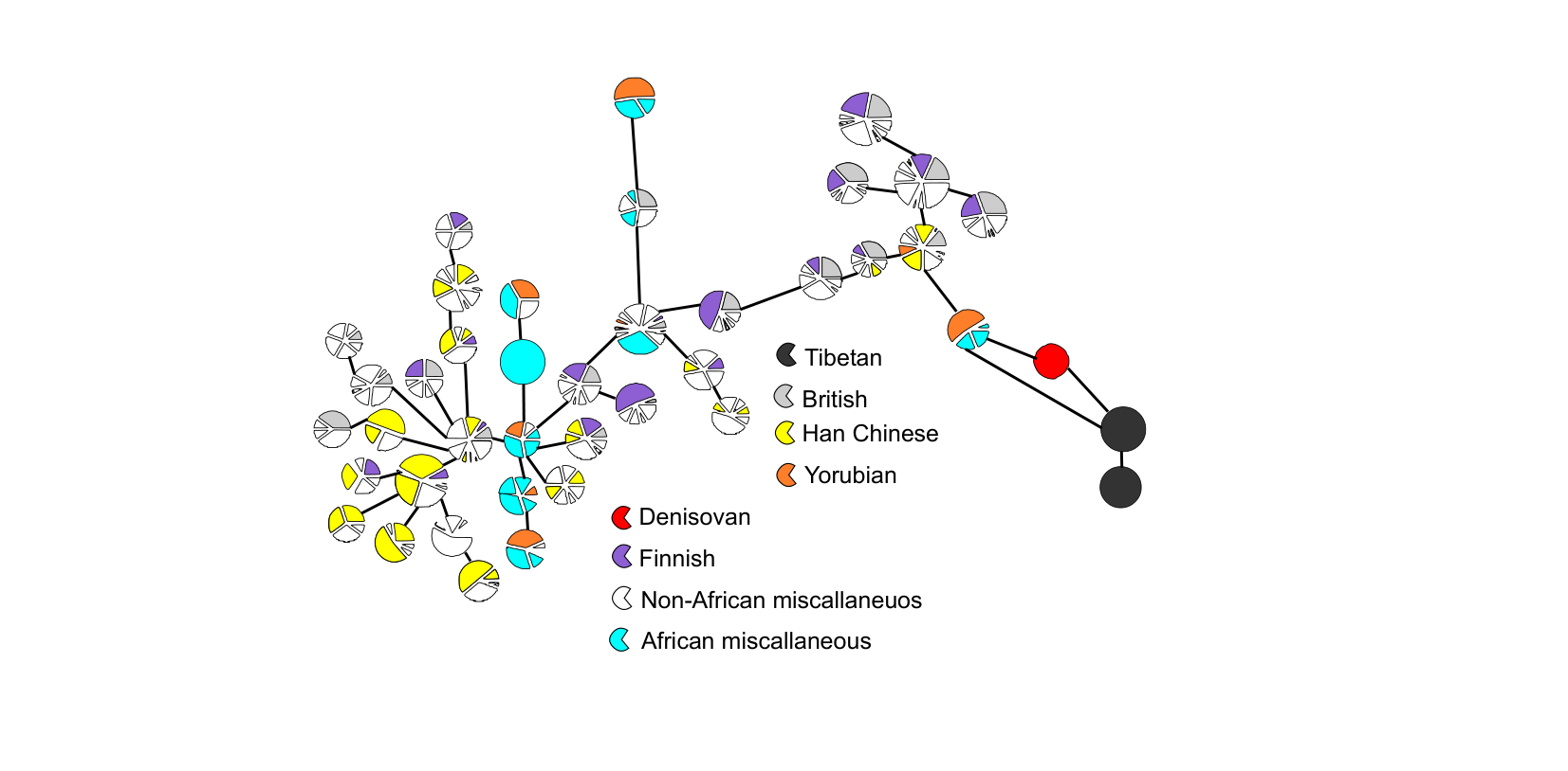 Figure for Q43: A Global Haplotype Network Traces Human and Denisovan Ancestry