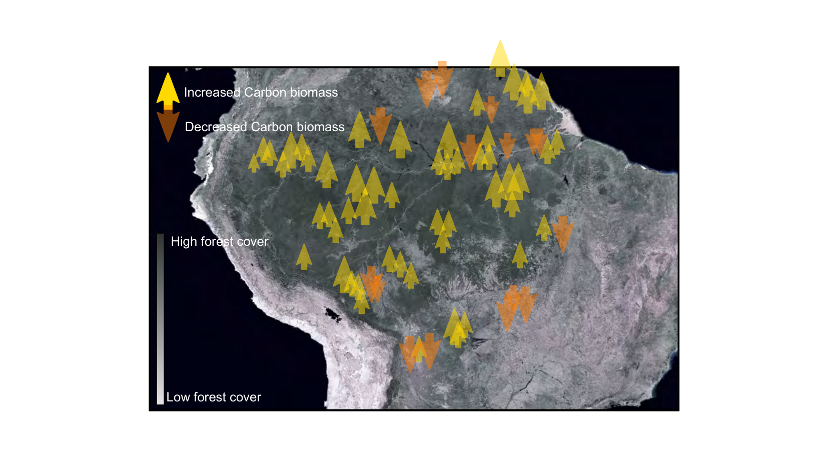 Figure 1 for Q1: Enzyme-Limited Carbon Fixation in a Warming Amazon