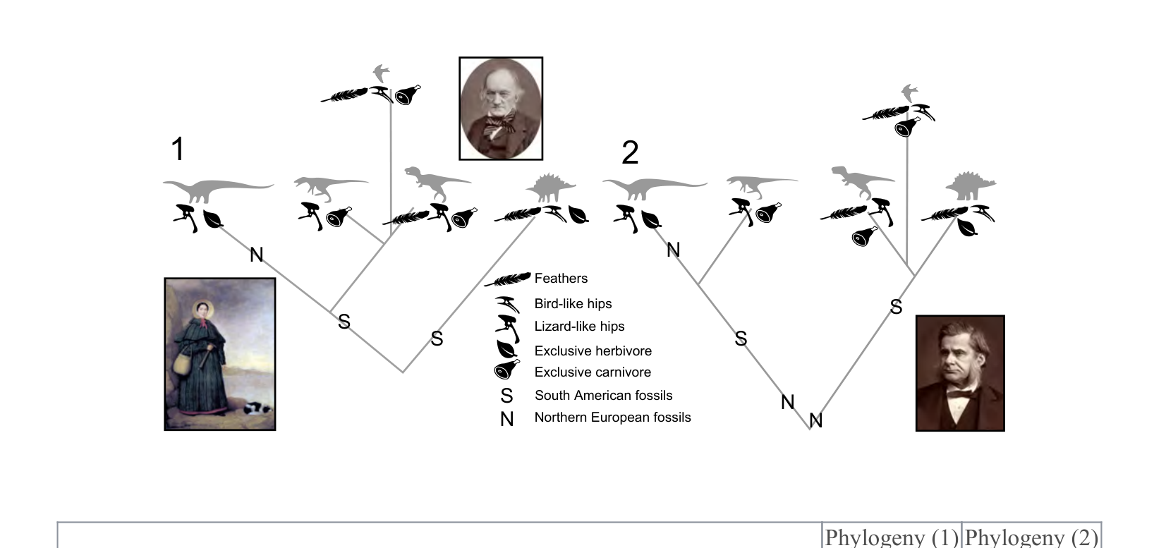Figure 1 for Q20: A Revised Dinosaur Phylogeny Overturns Assumptions About Traits