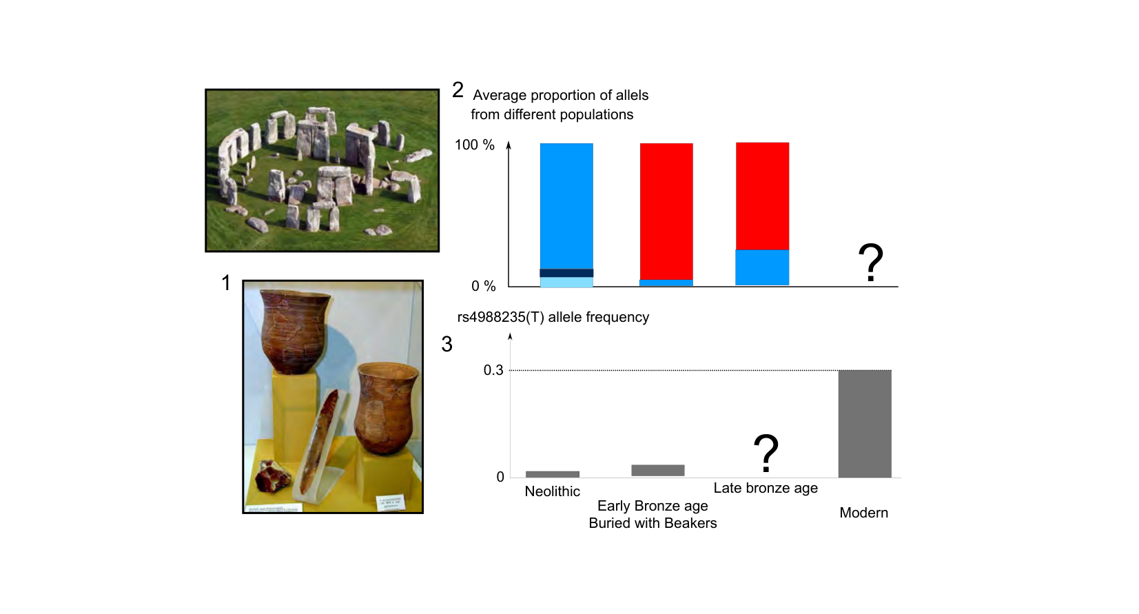 Figure 1 for Q22: Ancient DNA Reveals the Beaker People Replaced, Not Joined, Britain