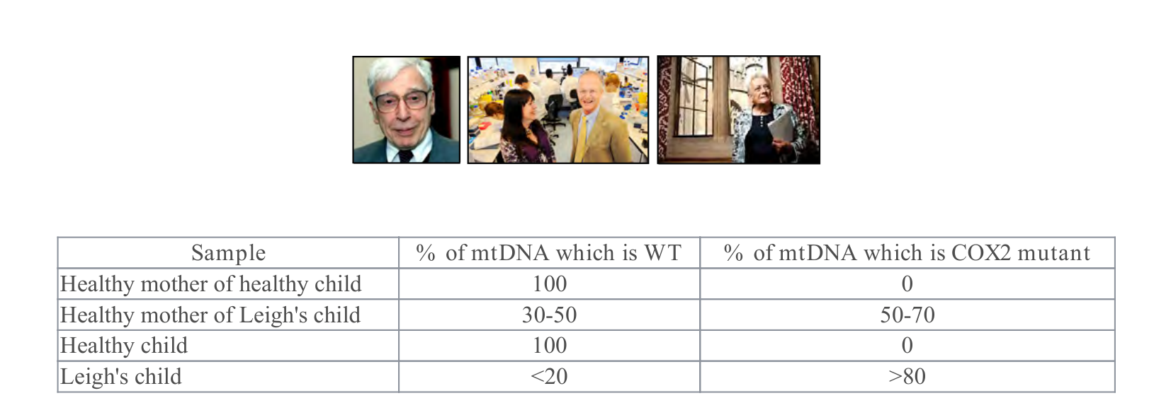 Figure 1 for Q30: Heteroplasmy Thresholds Behind Mitochondrial Replacement Therapy