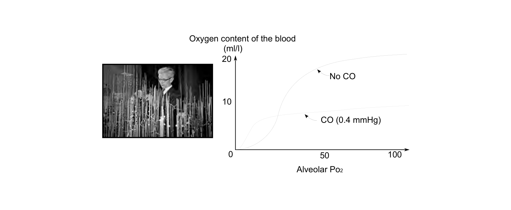 Figure 1 for Q4: Carbon Monoxide’s Real Effect on Oxygen Transport