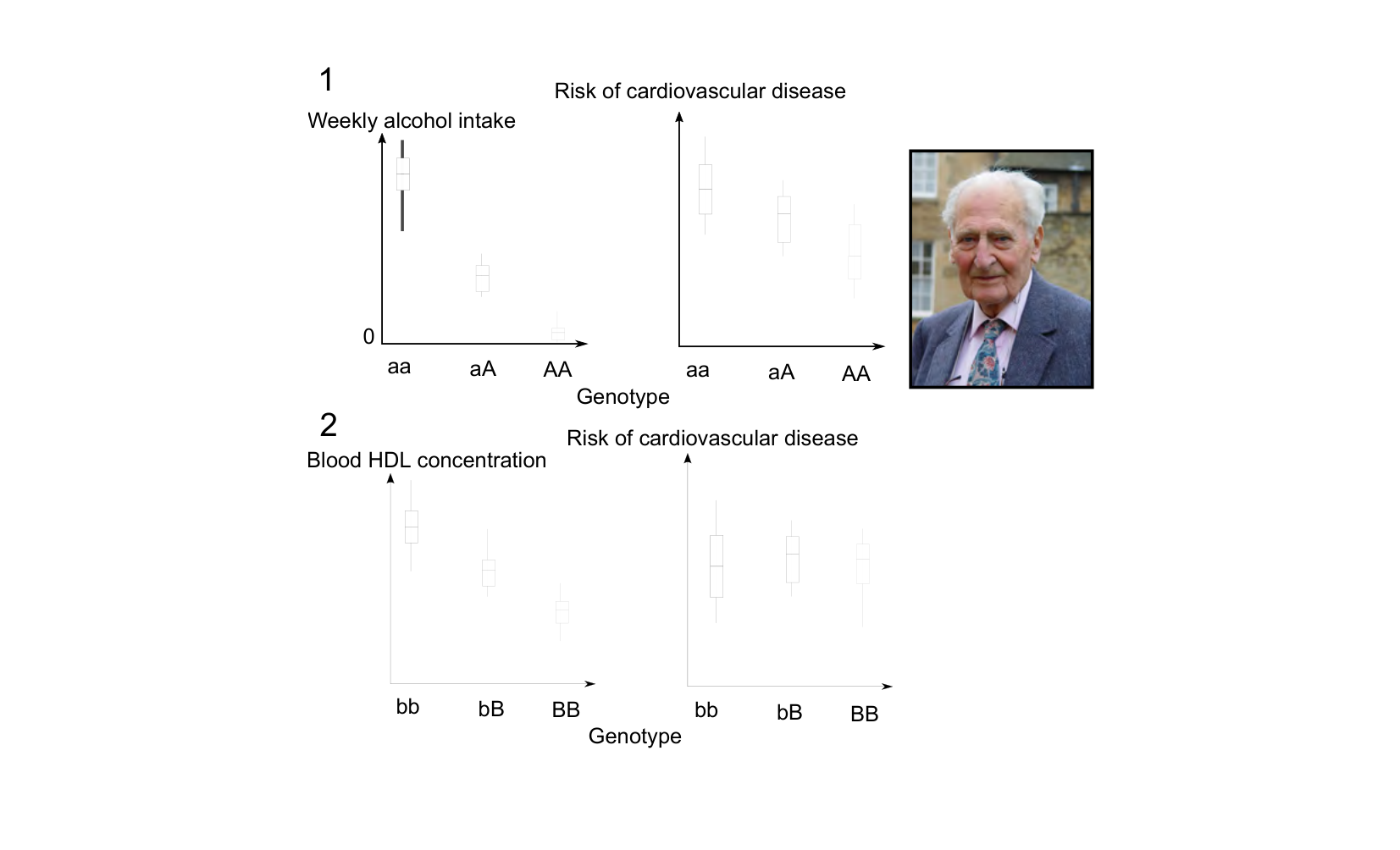 Figure 1 for Q40: Mendelian Randomisation Separates Correlation from Causation