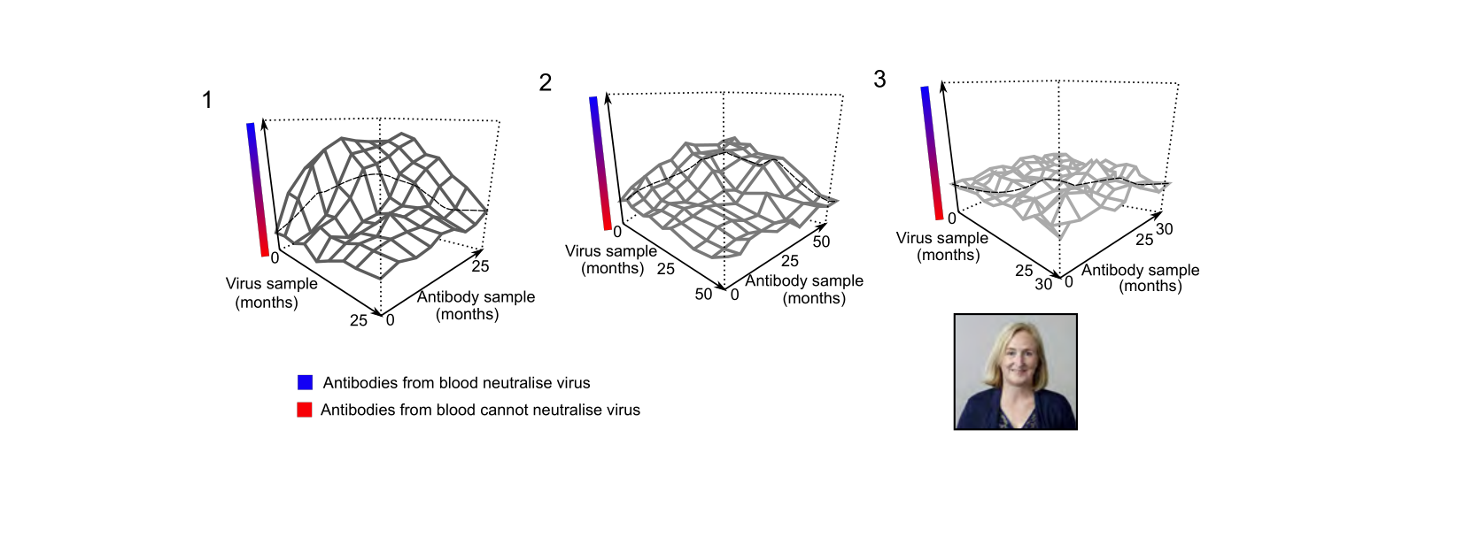 Figure 1 for Q41: Antibody Evolution Traces the Red Queen Dynamic in Untreated HIV