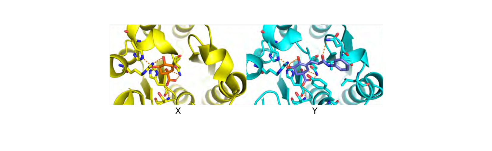 Figure 1 for Q44: Comparing Two Active-Site Inhibitors for a Tuberculosis Target