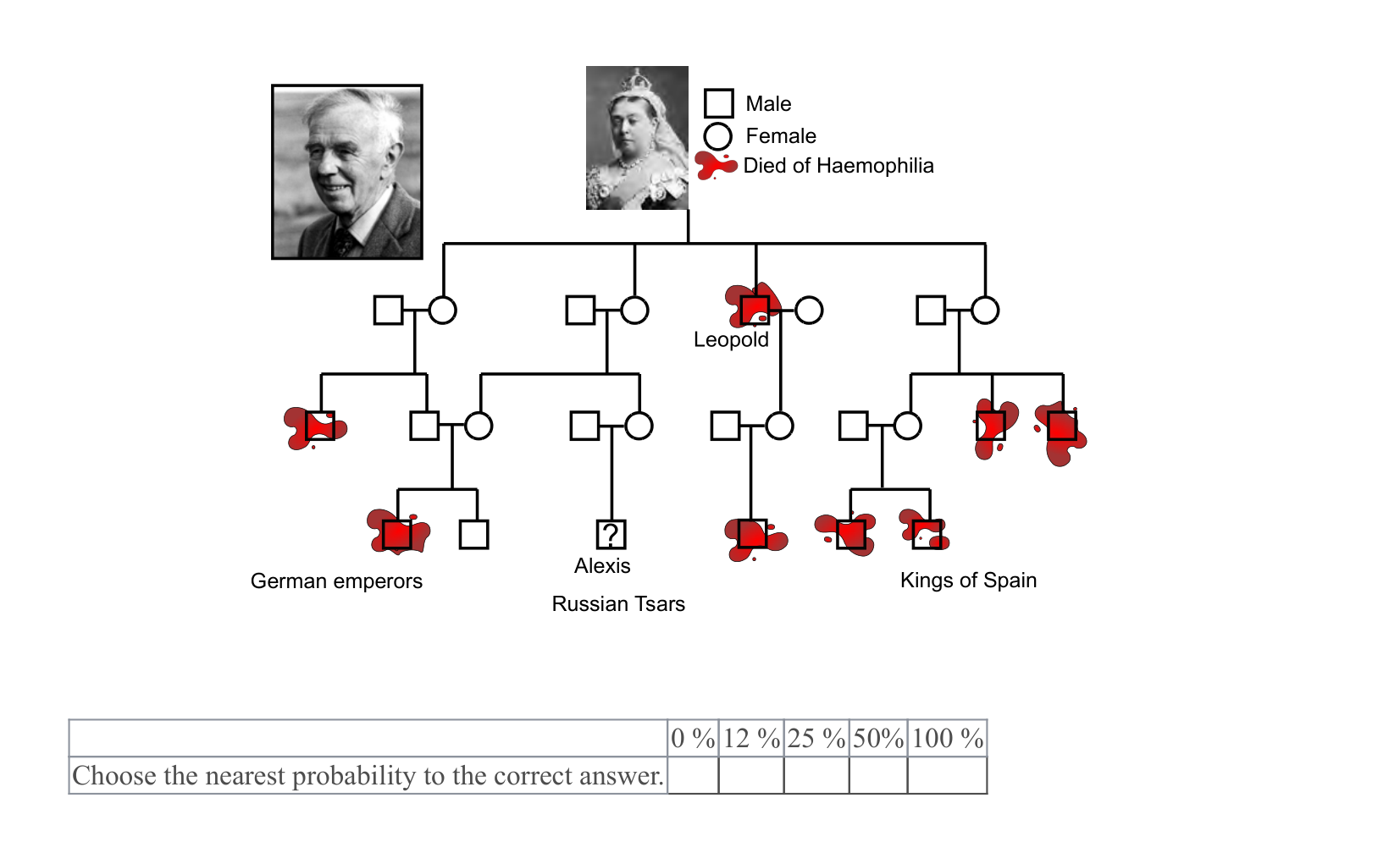 Figure 1 for Q46: Tracing a De Novo Haemophilia Mutation Through European Royalty