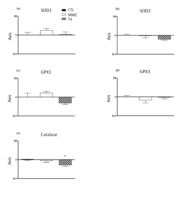 Five bar-chart panels (a-e), each on a log-scale y-axis (0.1-10, “Axis = Fold change”) labeled SOD1, SOD2, GPX1, GPX3, and Catalase. Each panel has three bars: CTL (untreated control, ~1), MMZ (methimazole-treated), and T4 (thyroxine-treated). SOD1: MMZ elevated (~1.8), T4 near 1. SOD2: T4 slightly below 1. GPX1: MMZ elevated (~1.8), T4 below 1 (~0.5). GPX3: MMZ below 1 (~0.7), T4 near 1. Catalase: T4 significantly below 1 (~0.5, marked with an asterisk), MMZ near 1.
