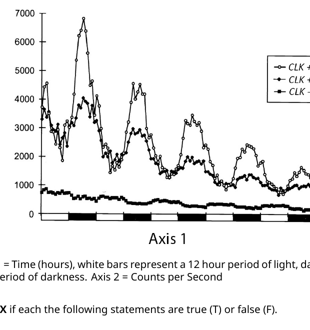 Luciferase (PER-promoter) activity over five days for CLK+/+, CLK+/- and CLK-/- flies, alternating 12h light/12h dark. CLK+/+ shows the tallest, most sharply cycling peaks; CLK+/- cycles at the same times but with lower amplitude; CLK-/- is essentially flat throughout.