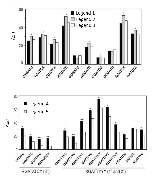 Two bar-chart panels. Top: nine candidate hexamer sequences (GTGATC, TGATCA, CGATCA, ATGATC, GCGATC, ACGATC, CGATCG, CCGATC, AGATCA, GATCTA) on the x-axis, percentage of promoters on the y-axis, grouped bars for Legend 1/2/3, several marked with asterisks - ATGATC and AGATCA are the tallest. Bottom: candidate octamer sequences grouped under “RGATATCY (3’)” (GATATC, AGATATC, GGATATC, RGATATCY) and “RGATTYYYY (1° and 2°)” (AGATTYYC, GGATTYYC, RGATTYYC, GATTYYC, RGATTYYY, AGATTYYY, GGATTYYC, RGATTCC, GATTCC, AGATTTC), bars for Legend 4/5, several marked with asterisks or double asterisks.