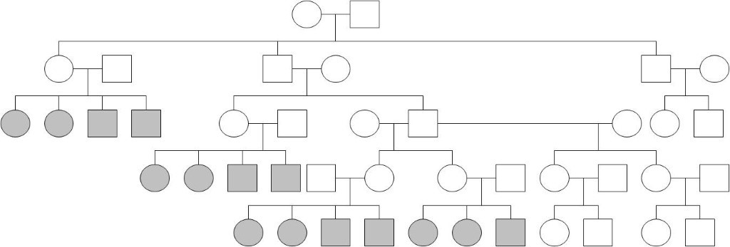 A four-generation pedigree tree. Generation 1: one founding couple (empty circle × empty square). Their children branch into three family lines. The leftmost line’s children include two sterile (filled) sons among healthy daughters. The middle line’s descendants, across two more generations, include several sterile sons and daughters clustered together, while other branches of the same generation are entirely healthy. The rightmost line’s descendants (several more generations) are all healthy/unaffected throughout.