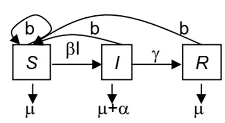 Flow diagram: three boxes S (susceptible), I (infected), R (recovered), connected left to right by arrows labeled β·I (S→I) and γ (I→R). A looping arrow labeled b feeds new births back into S from all three compartments. Downward arrows from each box show death: μ from S, μ+α from I, μ from R.