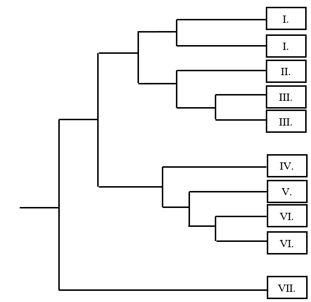 A skeleton phylogenetic tree with seven labeled terminal/grouped positions (I. through VII.) arranged hierarchically: a shallow pair of “I.” tips, joined with “II.”, joined with a pair of “III.” tips (deeper split), forming the upper major clade; separately, “IV.” joins with “V.”, which joins with a pair of “VI.” tips, forming the lower major clade; “VII.” branches off earliest, separate from both major clades.