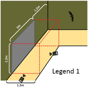 Diagram of an experimental corridor corner: a smooth grey metal plate mounted vertically on one wall (dimensions 2m × 1.2m, positioned 1.2m from the floor), with a bat approaching, and high-speed cameras (marked “L1”) positioned to record collisions/drinking attempts at floor level.