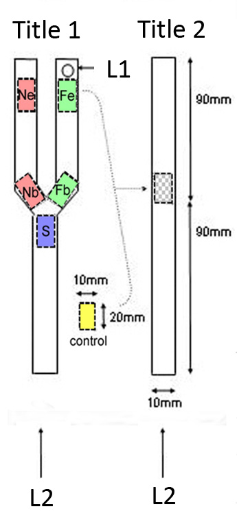Diagram of the Y-bifurcation apparatus (left, “Title 1”) with sections Ne and Fe marked near the fork tips, Nb and Fb marked just below the fork, and S marked at the base, plus a small “control” section shown separately; and an unbranched test apparatus (right, “Title 2”) with a single test section placed midway along a 180mm tube (90mm marked on each side), 10mm wide.