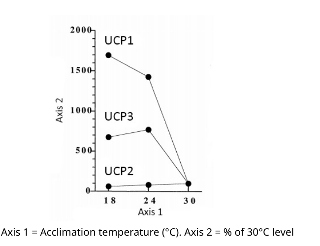 Line graph: UCP1, UCP2 and UCP3 mRNA (% of 30°C level) at acclimation temperatures 18°C, 24°C and 30°C. UCP1 is highest overall and rises steeply from ~100 (at 30°C) to ~1700 (at 18°C). UCP3 rises more modestly, from ~100 to ~700. UCP2 stays low and flat throughout.