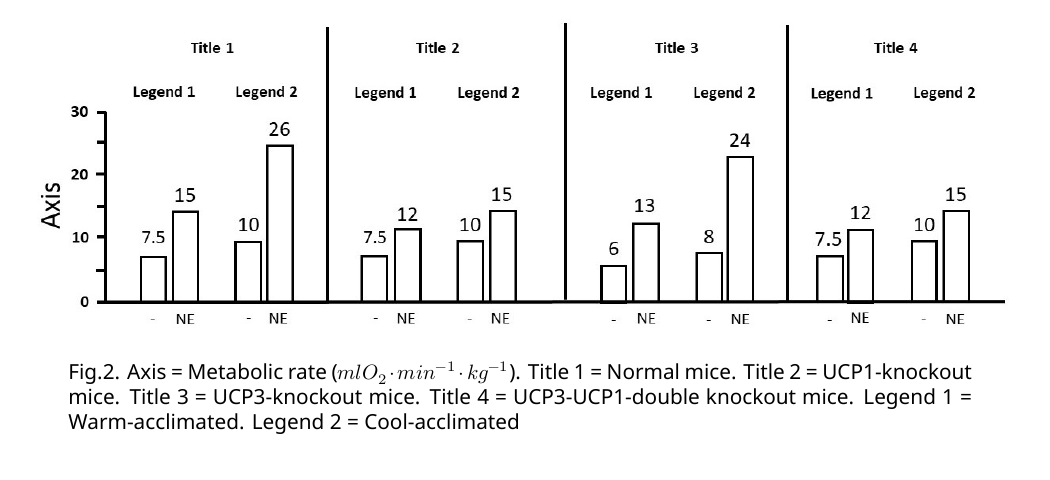 Bar chart, four groups (normal, UCP1-KO, UCP3-KO, UCP1+UCP3 double-KO mice) × warm/cool acclimation × ± NE. Normal mice: warm 7.5→15 with NE, cool 10→26 with NE. UCP1-KO: warm 7.5→12, cool 10→15. UCP3-KO: warm 6→13, cool 8→24. Double-KO: warm 7.5→12, cool 10→15.