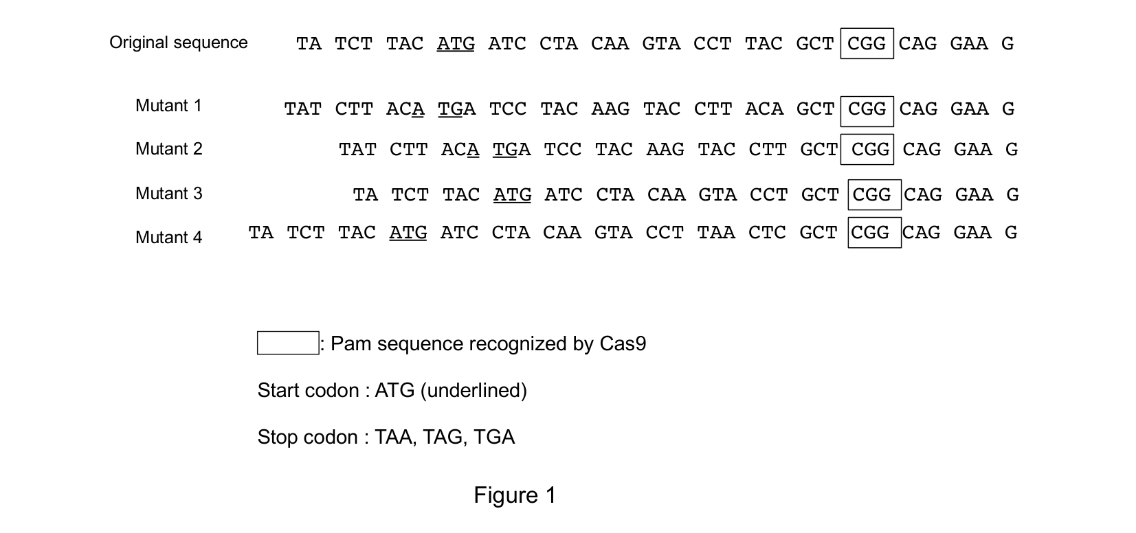 Figure 1.