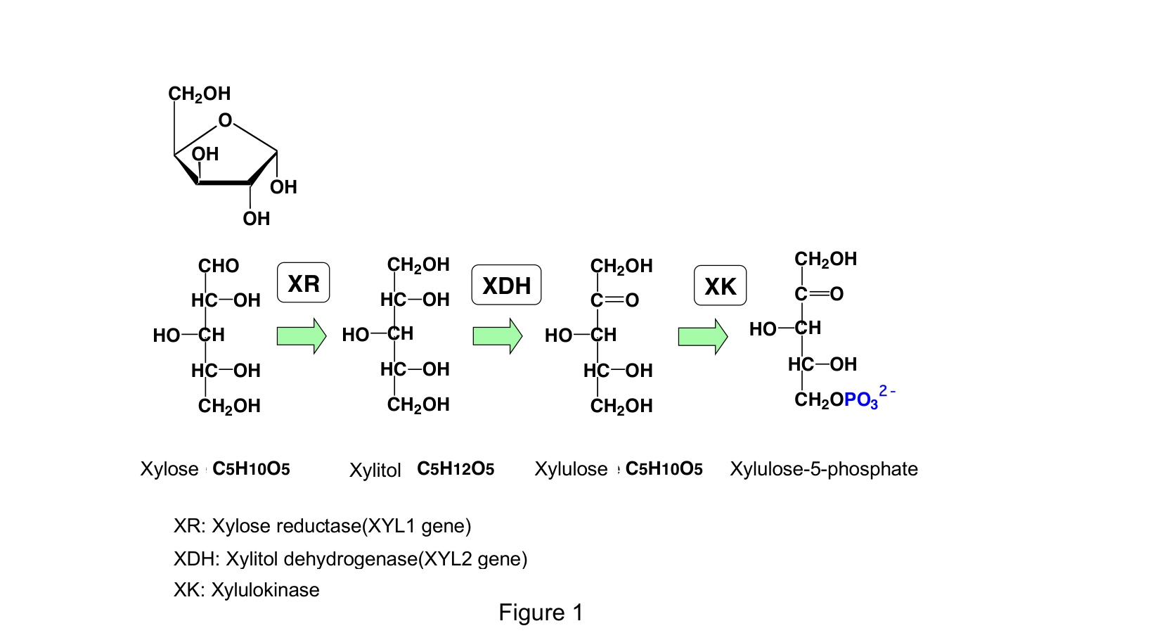 Figure 1.