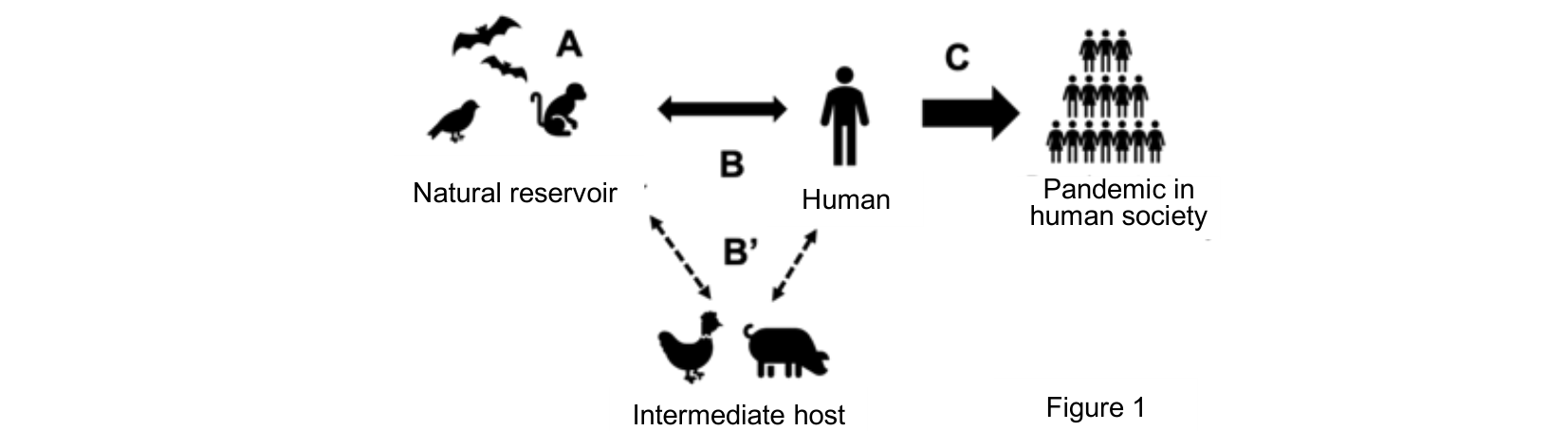 Figure 1.
