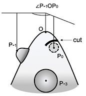 Schematic drawing of the microsurgical