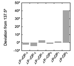Deviation of the angle between experiment successive leaves from 137.
